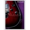 Schecter Damien Elite-6 FR CRB ӡ