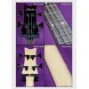 Schecter Raiden Special-4 BCH