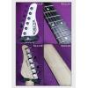 Schecter ZK-T6 Original Dragon Graphic