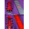 Schecter CHRIS HOWORTH V-7 ǩ