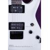 SCHECTER STEALTH C-1 SWHT