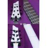 SCHECTER STEALTH C-1 SWHT