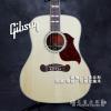 Gibson hummingbird recording artist KOA (ȫ50֧)