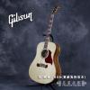Gibson hummingbird recording artist KOA (ȫ50֧)