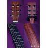 Martin DX1E