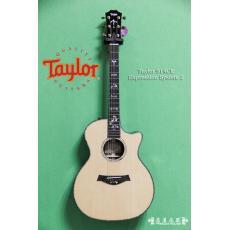  Taylor 914CE Expression System 2