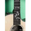 Taylor 914CE Expression System 2