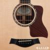 Taylor 810CE Expression System 2