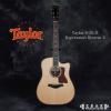 Taylor 810CE Expression System 2