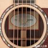 Taylor 810CE Expression System 2