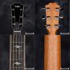 Taylor 810CE Expression System 2