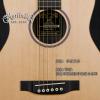 Martin LX1