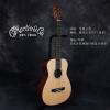 Martin LX1