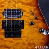 Schecter Banshee 6 FR Passive FVSB