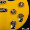 Schecter Solo Special TVY