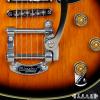 Schecter Solo Vintage 2TSB 