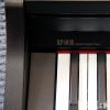 Roland RP-401R RW/CB 
