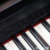 Roland RP-401R RW/CB 