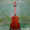 Parkwood PW-188 OM 