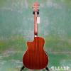 Parkwood PW-188 GACE