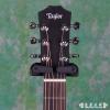 Taylor BABY BT2e