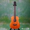 Taylor BABY BT2e