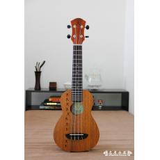 aNueNue aNN PM1 21