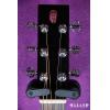 Lee guitars M30 ʼ