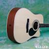 Samick GD-100SC/NS