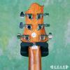 Samick GD-100SC/NS