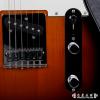 Fender 014-5102-532 STANDARD TELECASTER