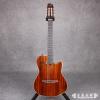 Godin ACS-SA Rosewood Limited