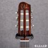 Godin ACS-SA Rosewood Limited
