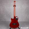Godin ACS-SA Rosewood Limited