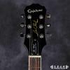 Epiphone Les Paul Standard Plus Top PRO (HS)