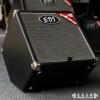 EBS Classic 60 Bass Combo