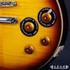 Epiphone Les Paul Standard Plus Top PRO (HB)