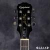 Epiphone Les Paul Standard Plus Top PRO (HB)