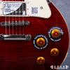 Epiphone Les Paul Standard Plus Top PRO (WR)