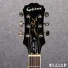 Epiphone Les Paul Standard Plus Top PRO (VS)