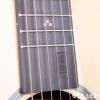 Lee guitars D30 ʼ