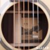 Lee guitars D30 ʼ