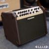Fishman LOUDBOX ARTIST