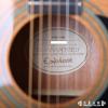 Epiphone PRO-1 NA