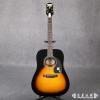 Epiphone PRO-1 VS