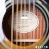Epiphone PRO-1 VS