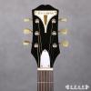 Epiphone PRO-1 VS