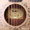 TAYLOR TS-BT Taylor Swift Baby Taylor