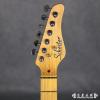 Schecter PT Standard BSCHB