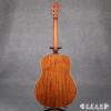 Breedlove Passport Dreadnought Mahogany
